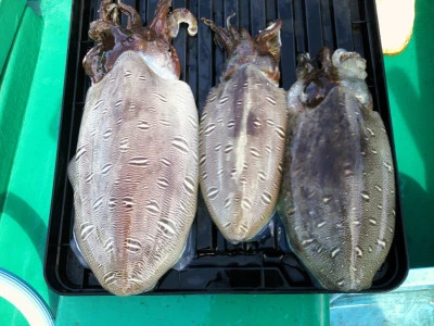 平良丸の2026年3月9日(月)3枚目の写真