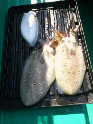 平良丸の2026年3月9日(月)4枚目の写真