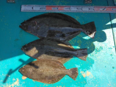 江戸っ子丸の2026年3月9日(月)4枚目の写真