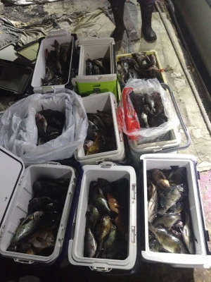 秀丸の2026年3月8日(日)1枚目の写真