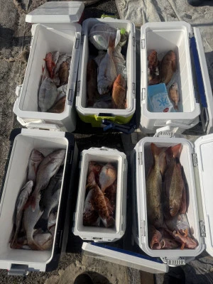 秀丸の2026年3月8日(日)2枚目の写真