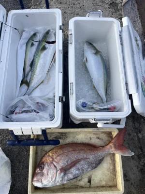 秀丸の2026年3月8日(日)3枚目の写真