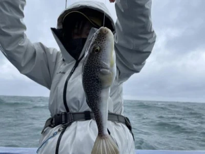 敷嶋丸の2026年3月10日(火)2枚目の写真