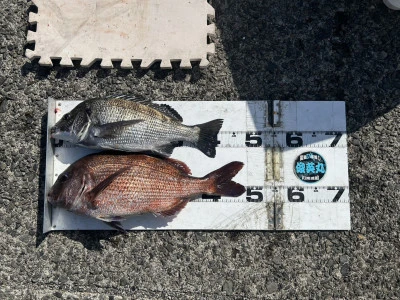 川端渡船の2026年3月10日(火)1枚目の写真