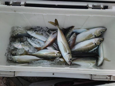 釣船 五郎丸の2026年3月10日(火)3枚目の写真