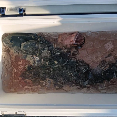 北浦瀬渡し FŪの2026年3月10日(火)3枚目の写真