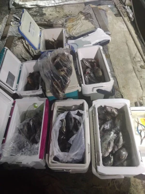 秀丸の2026年3月9日(月)1枚目の写真