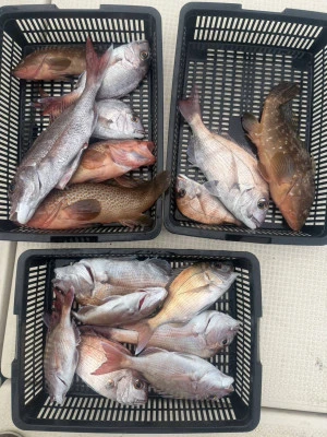 秀丸の2026年3月9日(月)2枚目の写真