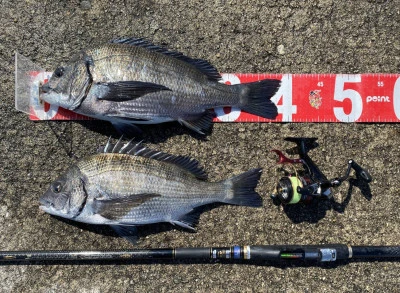 日の出渡船の2026年3月11日(水)2枚目の写真