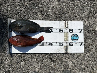 川端渡船の2026年3月11日(水)1枚目の写真