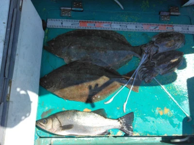 江戸っ子丸の2026年3月11日(水)2枚目の写真