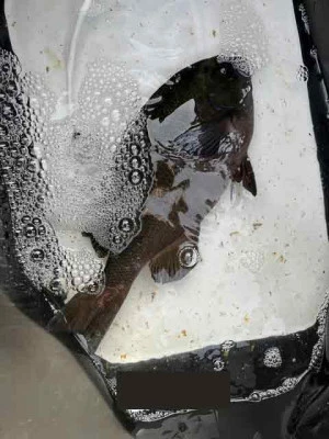 とせん丸の2026年3月9日(月)1枚目の写真