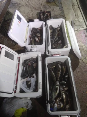 秀丸の2026年3月10日(火)1枚目の写真