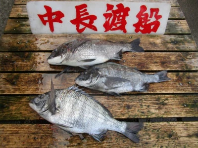 中長渡船の2026年3月11日(水)3枚目の写真