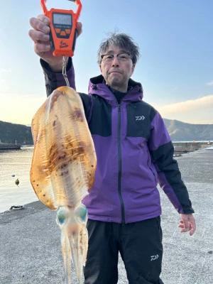 光丸の2026年3月11日(水)1枚目の写真