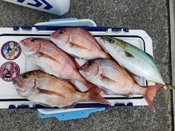 海桜丸の2026年3月10日(火)1枚目の写真