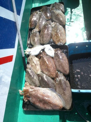 平良丸の2026年3月12日(木)3枚目の写真