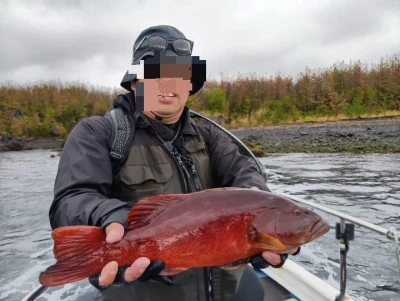 天竜丸の2026年3月12日(木)4枚目の写真