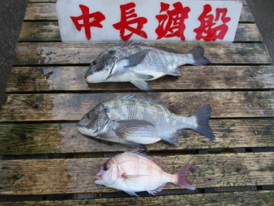 中長渡船の2026年3月12日(木)4枚目の写真