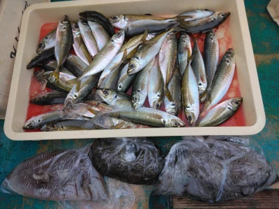 江戸っ子丸の2026年3月13日(金)4枚目の写真