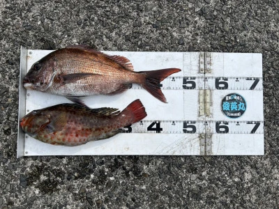 川端渡船の2026年3月13日(金)1枚目の写真