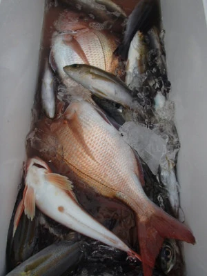 村井丸の2026年3月13日(金)3枚目の写真