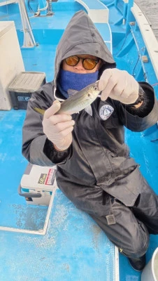 渡辺釣船店の2026年3月13日(金)3枚目の写真