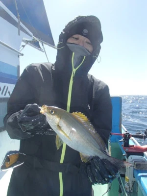 村井丸の2026年3月14日(土)4枚目の写真