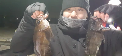 赤峯釣船の2026年3月14日(土)3枚目の写真