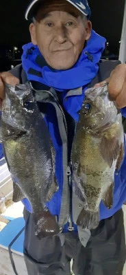 赤峯釣船の2026年3月15日(日)1枚目の写真