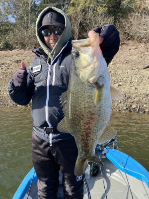 見晴茶屋の2026年3月9日(月)1枚目の写真