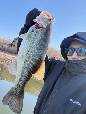 見晴茶屋の2026年3月12日(木)1枚目の写真