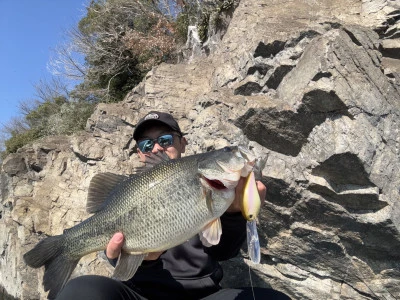 見晴茶屋の2026年3月15日(日)1枚目の写真