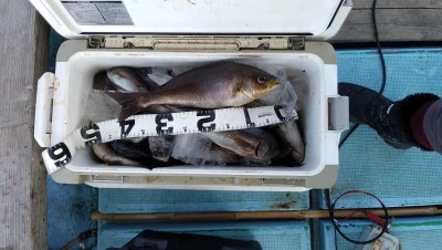 紀丸の2026年3月17日(火)1枚目の写真