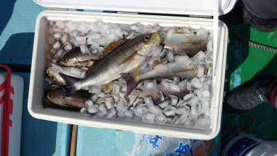 紀丸の2026年3月17日(火)2枚目の写真