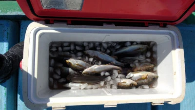 紀丸の2026年3月17日(火)3枚目の写真