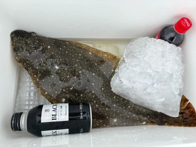 つる丸の2026年3月17日(火)5枚目の写真