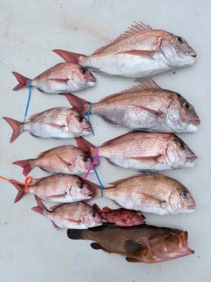 竜洞丸の2026年3月18日(水)2枚目の写真