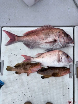 竜洞丸の2026年3月18日(水)3枚目の写真