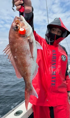 八坂丸の2026年3月19日(木)3枚目の写真