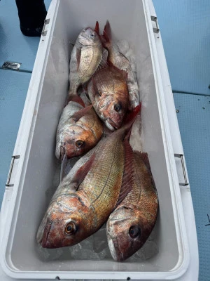 八坂丸の2026年3月19日(木)5枚目の写真