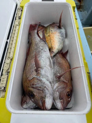 八坂丸の2026年3月18日(水)2枚目の写真