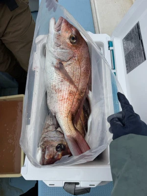 八坂丸の2026年3月18日(水)3枚目の写真