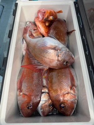 八坂丸の2026年3月18日(水)4枚目の写真