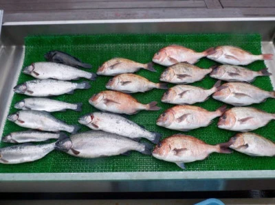 フィッシングレインボーの2026年3月18日(水)1枚目の写真