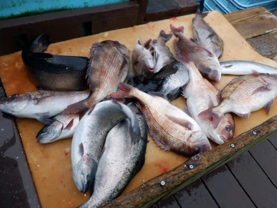 フィッシングレインボーの2026年3月18日(水)2枚目の写真