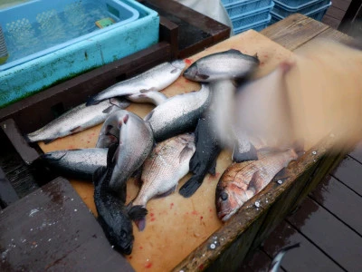 フィッシングレインボーの2026年3月18日(水)3枚目の写真