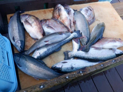 フィッシングレインボーの2026年3月17日(火)1枚目の写真