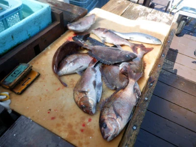 フィッシングレインボーの2026年3月17日(火)4枚目の写真