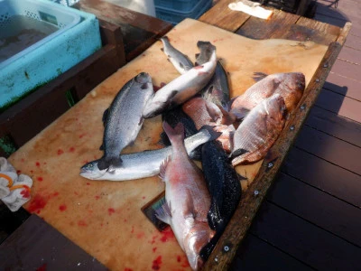 フィッシングレインボーの2026年3月17日(火)5枚目の写真